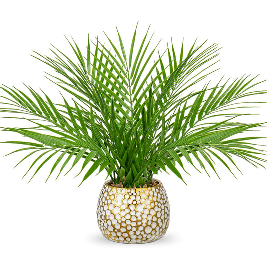 Faux Palm Plant in Gold-White Pot